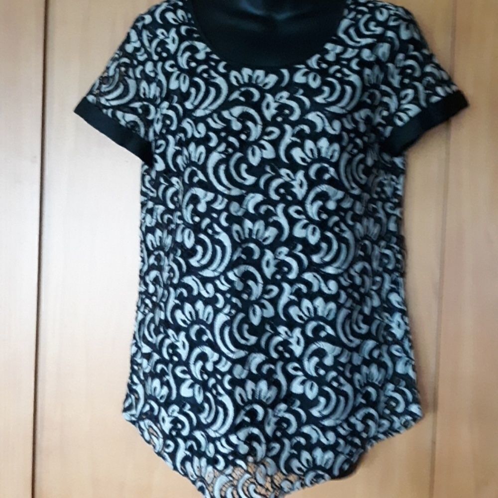 Express SeeThu Blouse
